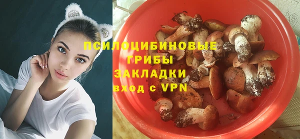 стаф Богородицк