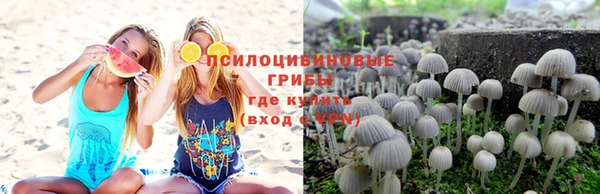 стаф Богородицк