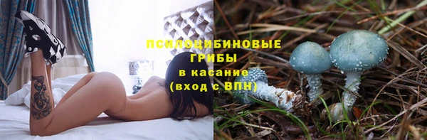 стаф Богородицк